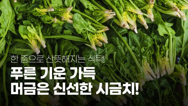 시금치 2kg